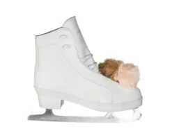 American Athletic -Pom Pom Figure Skates - Women's 8 American Athletic -Pom Pom Figure Skates - Women's -Skate Shop 2 27991.1676462244