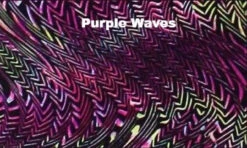 Poly/Spandex Venetta Fit Jacket - 6 Colors Available 11 Poly/Spandex Venetta Fit Jacket - 6 Colors Available -Skate Shop 2 72892.1545320868