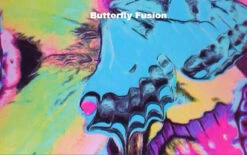 Poly/Spandex Venetta Fit Jacket - 6 Colors Available 12 Poly/Spandex Venetta Fit Jacket - 6 Colors Available -Skate Shop 3 68205.1545320868