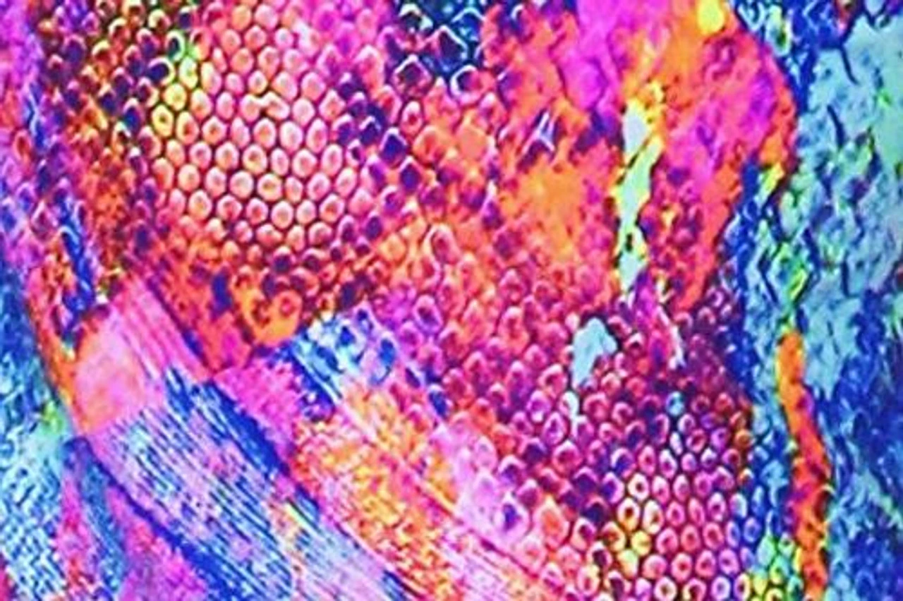 Poly/Spandex Venetta Fit Jacket - 6 Colors Available 8 Poly/Spandex Venetta Fit Jacket - 6 Colors Available - Image 6